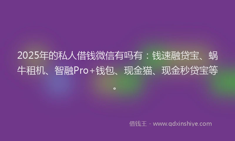 2025年的私人借钱微信有吗有：钱速融贷宝、蜗牛租机、智融Pro+钱包、现金猫、现金秒贷宝等。