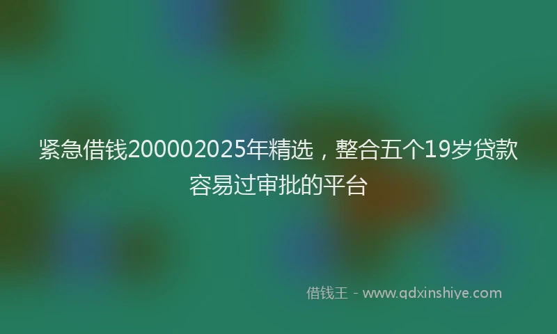 紧急借钱200002025年精选，整合五个19岁贷款容易过审批的平台