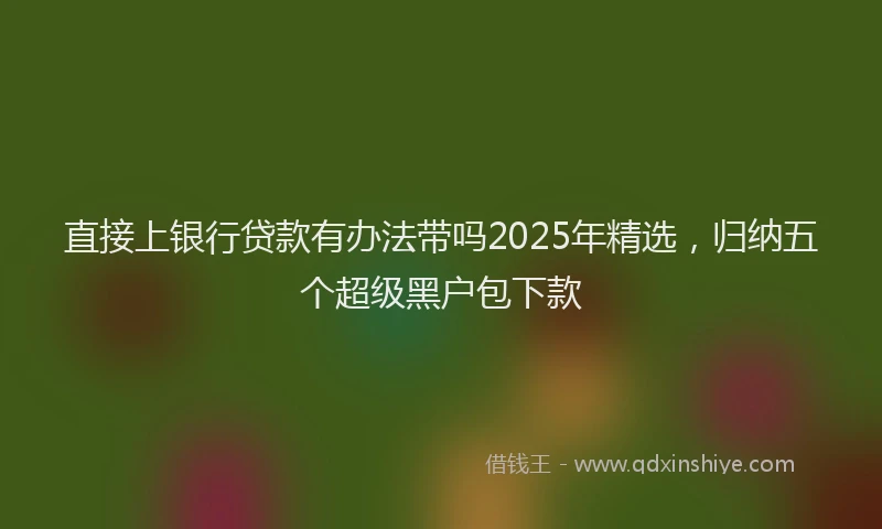 直接上银行贷款有办法带吗2025年精选，归纳五个超级黑户包下款
