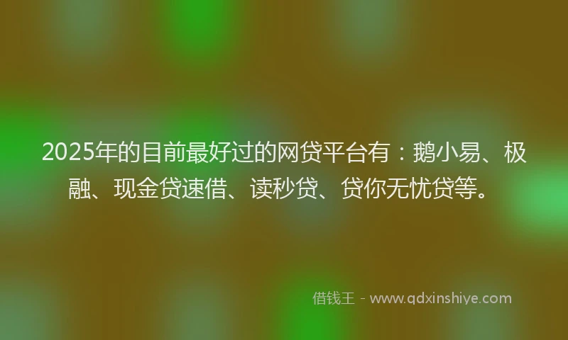 2025年的目前最好过的网贷平台有：鹅小易、极融、现金贷速借、读秒贷、贷你无忧贷等。