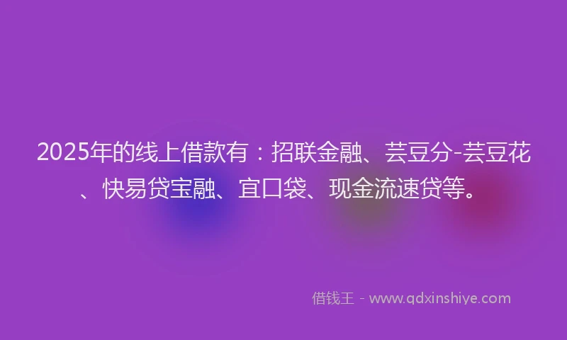 2025年的线上借款有：招联金融、芸豆分-芸豆花、快易贷宝融、宜口袋、现金流速贷等。