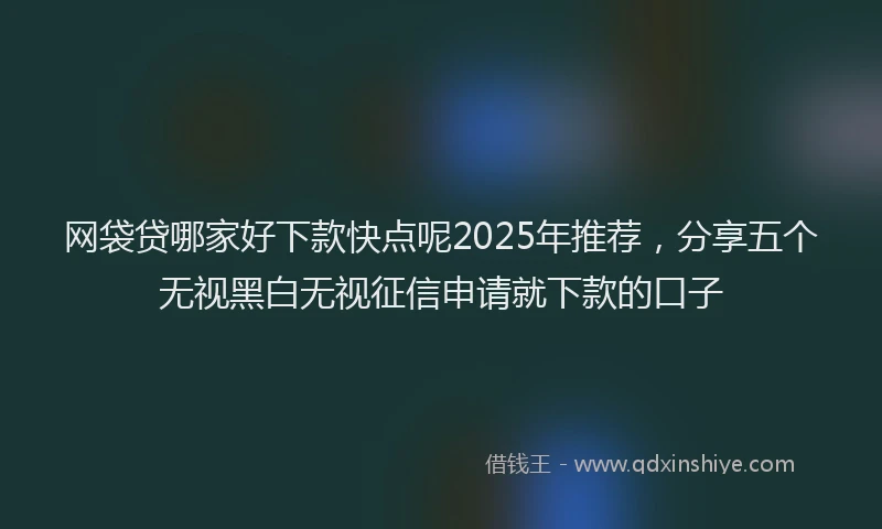 网袋贷哪家好下款快点呢2025年推荐，分享五个无视黑白无视征信申请就下款的口子