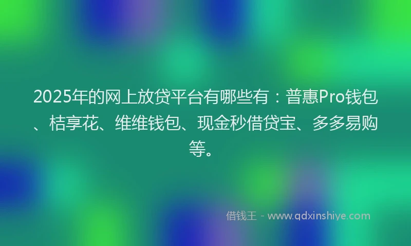 2025年的网上放贷平台有哪些有：普惠Pro钱包、桔享花、维维钱包、现金秒借贷宝、多多易购等。