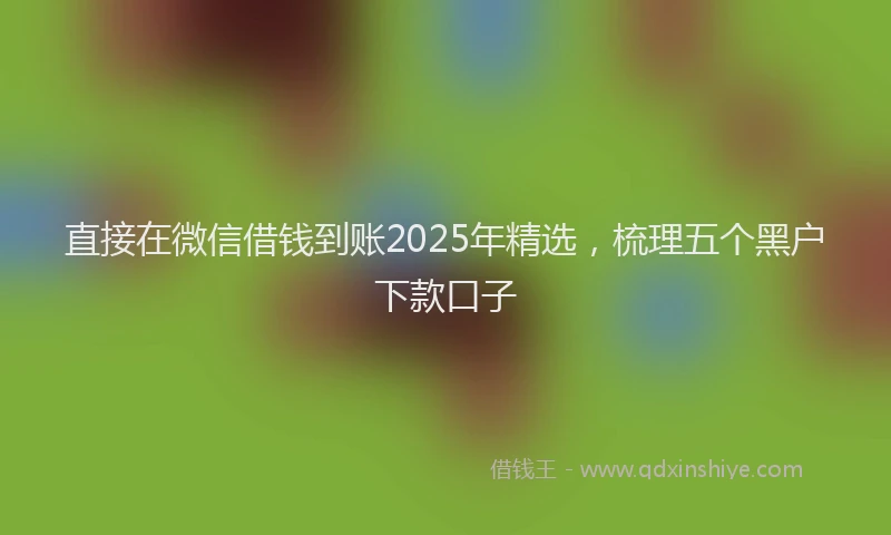 直接在微信借钱到账2025年精选，梳理五个黑户下款口子