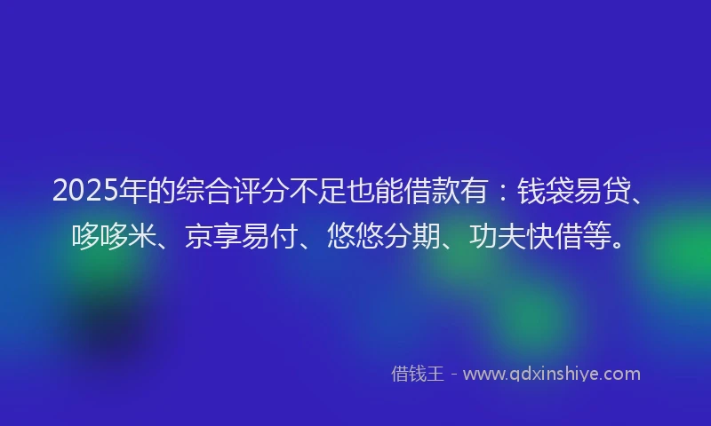 2025年的综合评分不足也能借款有：钱袋易贷、哆哆米、京享易付、悠悠分期、功夫快借等。