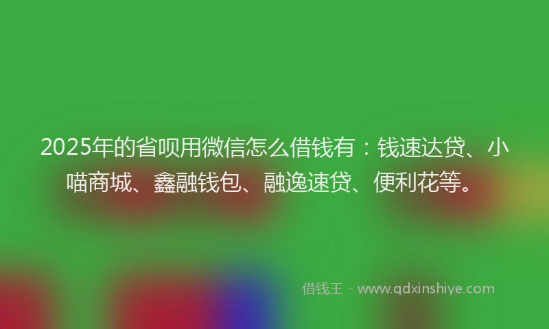 2025年的省呗用微信怎么借钱有：钱速达贷、小喵商城、鑫融钱包、融逸速贷、便利花等。