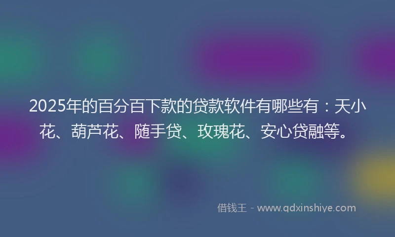 2025年的百分百下款的贷款软件有哪些有：天小花、葫芦花、随手贷、玫瑰花、安心贷融等。