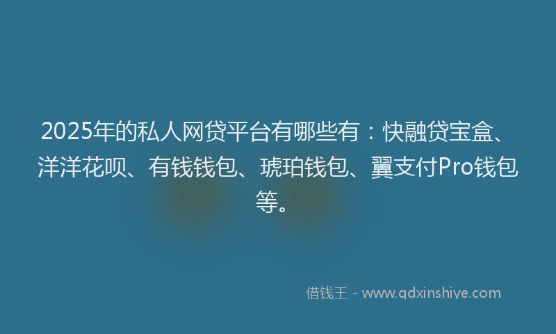 2025年的私人网贷平台有哪些有：快融贷宝盒、洋洋花呗、有钱钱包、琥珀钱包、翼支付Pro钱包等。
