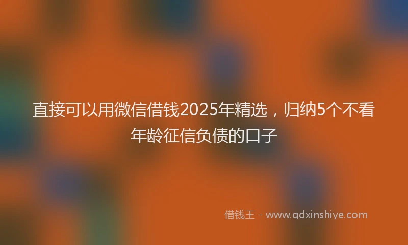直接可以用微信借钱2025年精选，归纳5个不看年龄征信负债的口子