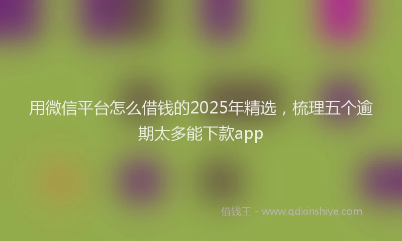 用微信平台怎么借钱的2025年精选，梳理五个逾期太多能下款app