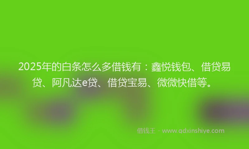 2025年的白条怎么多借钱有：鑫悦钱包、借贷易贷、阿凡达e贷、借贷宝易、微微快借等。