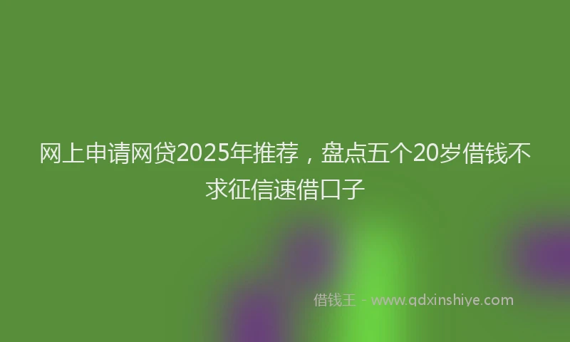 网上申请网贷2025年推荐，盘点五个20岁借钱不求征信速借口子