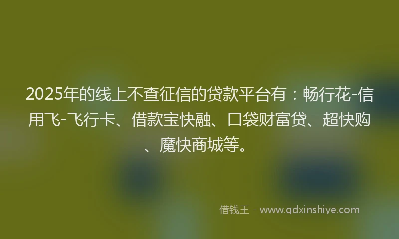 2025年的线上不查征信的贷款平台有：畅行花-信用飞-飞行卡、借款宝快融、口袋财富贷、超快购、魔快商城等。