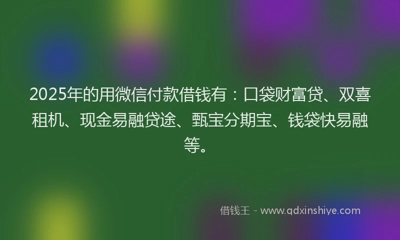2025年的用微信付款借钱有：口袋财富贷、双喜租机、现金易融贷途、甄宝分期宝、钱袋快易融等。