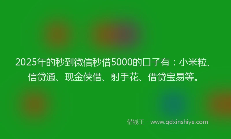 2025年的秒到微信秒借5000的口子有：小米粒、信贷通、现金侠借、射手花、借贷宝易等。