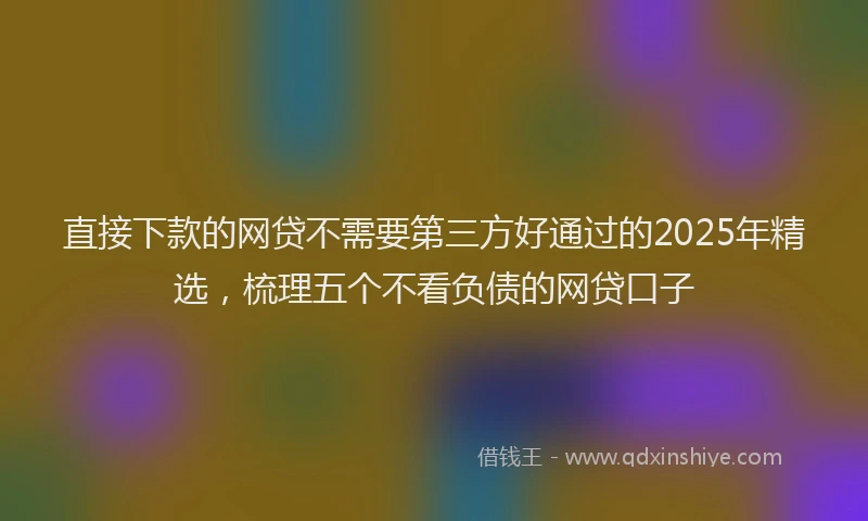 直接下款的网贷不需要第三方好通过的2025年精选，梳理五个不看负债的网贷口子