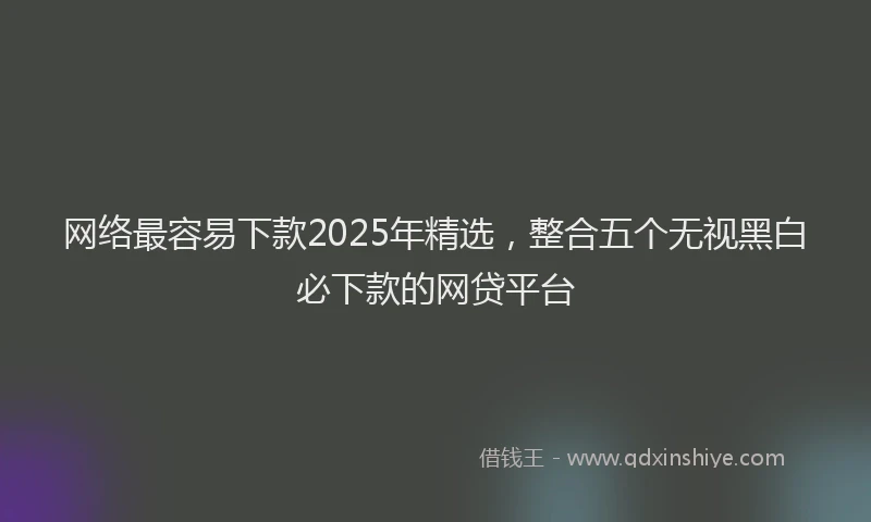 网络最容易下款2025年精选，整合五个无视黑白必下款的网贷平台