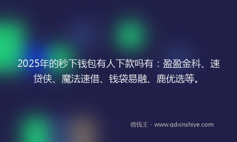 2025年的秒下钱包有人下款吗有：盈盈金科、速贷侠、魔法速借、钱袋易融、鹿优选等。
