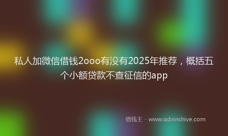 私人加微信借钱2ooo有没有2025年推荐，概括五个小额贷款不查征信的app
