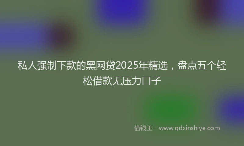 私人强制下款的黑网贷2025年精选，盘点五个轻松借款无压力口子