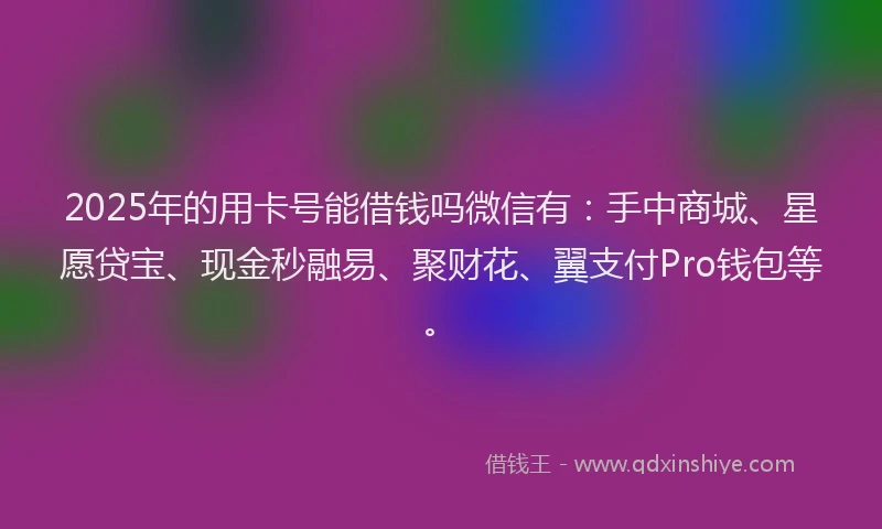 2025年的用卡号能借钱吗微信有：手中商城、星愿贷宝、现金秒融易、聚财花、翼支付Pro钱包等。