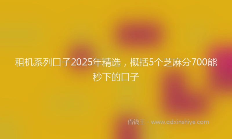 租机系列口子2025年精选，概括5个芝麻分700能秒下的口子