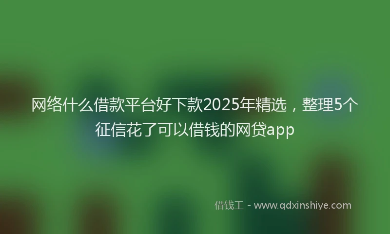 网络什么借款平台好下款2025年精选，整理5个征信花了可以借钱的网贷app