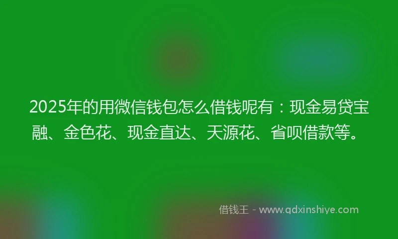 2025年的用微信钱包怎么借钱呢有：现金易贷宝融、金色花、现金直达、天源花、省呗借款等。