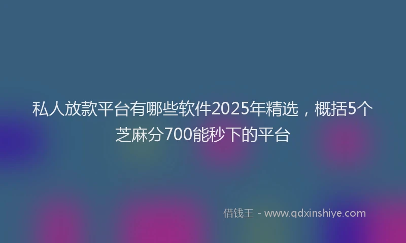 私人放款平台有哪些软件2025年精选，概括5个芝麻分700能秒下的平台