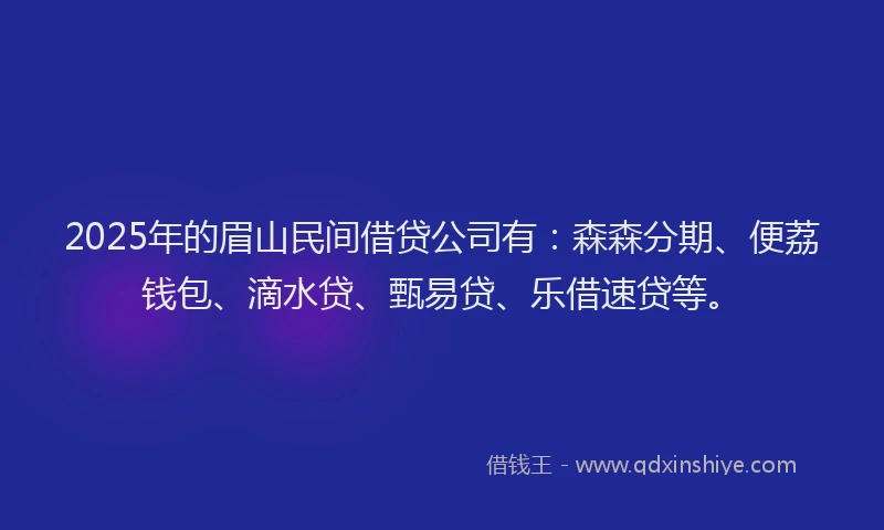 2025年的眉山民间借贷公司有：森森分期、便荔钱包、滴水贷、甄易贷、乐借速贷等。