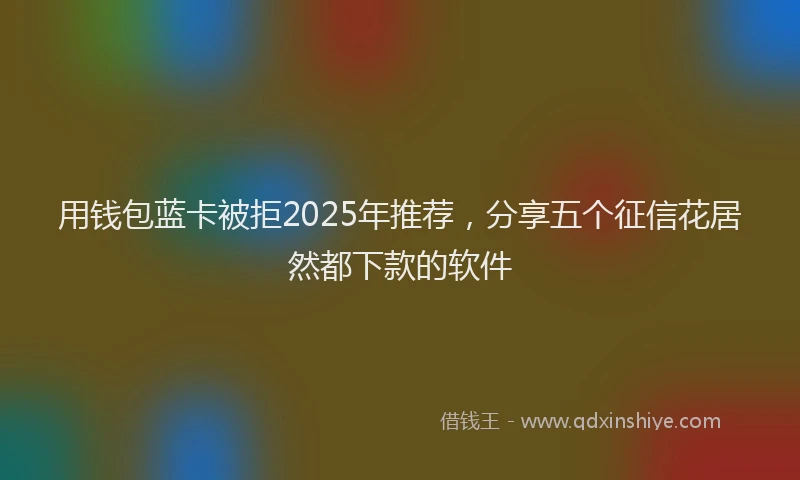 用钱包蓝卡被拒2025年推荐，分享五个征信花居然都下款的软件