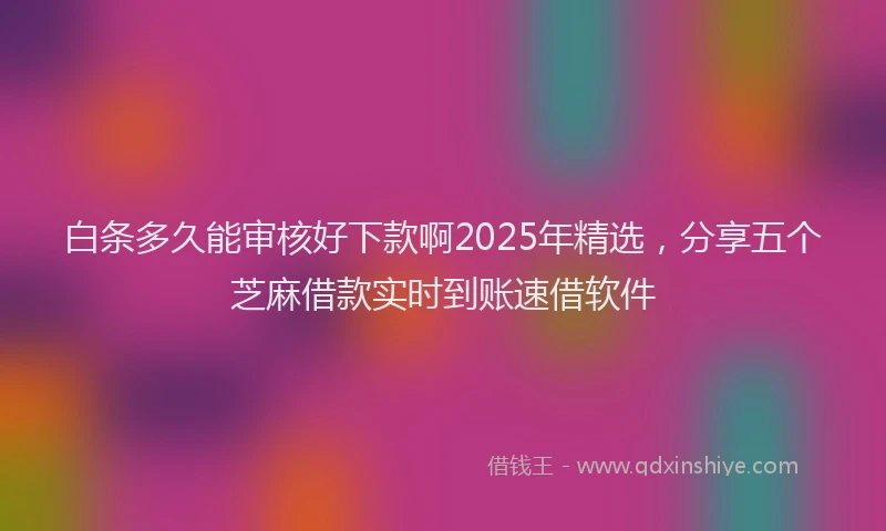 白条多久能审核好下款啊2025年精选，分享五个芝麻借款实时到账速借软件