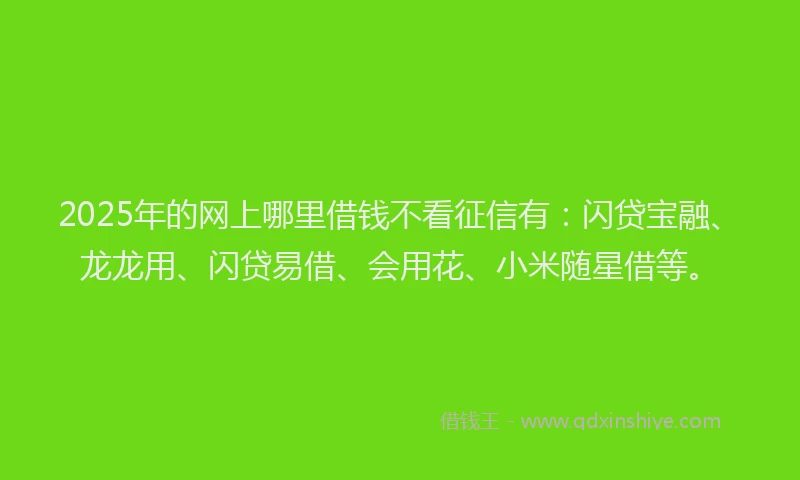 2025年的网上哪里借钱不看征信有：闪贷宝融、龙龙用、闪贷易借、会用花、小米随星借等。