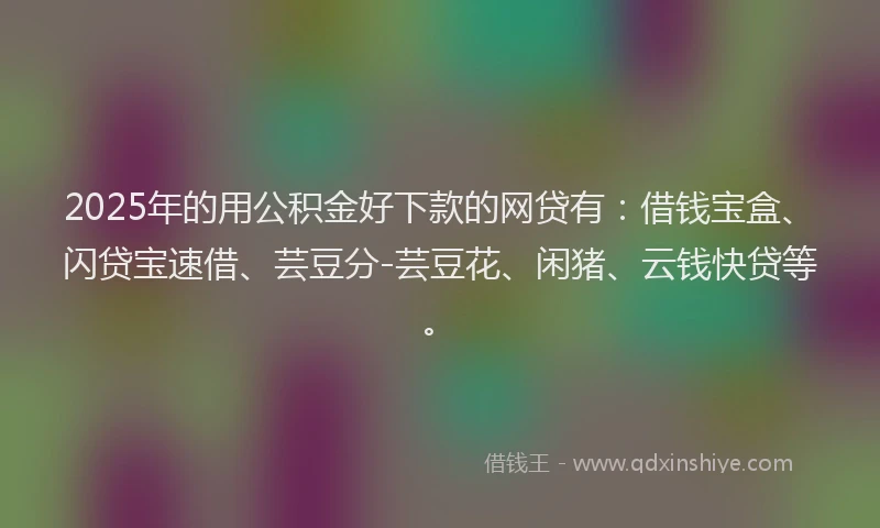2025年的用公积金好下款的网贷有：借钱宝盒、闪贷宝速借、芸豆分-芸豆花、闲猪、云钱快贷等。