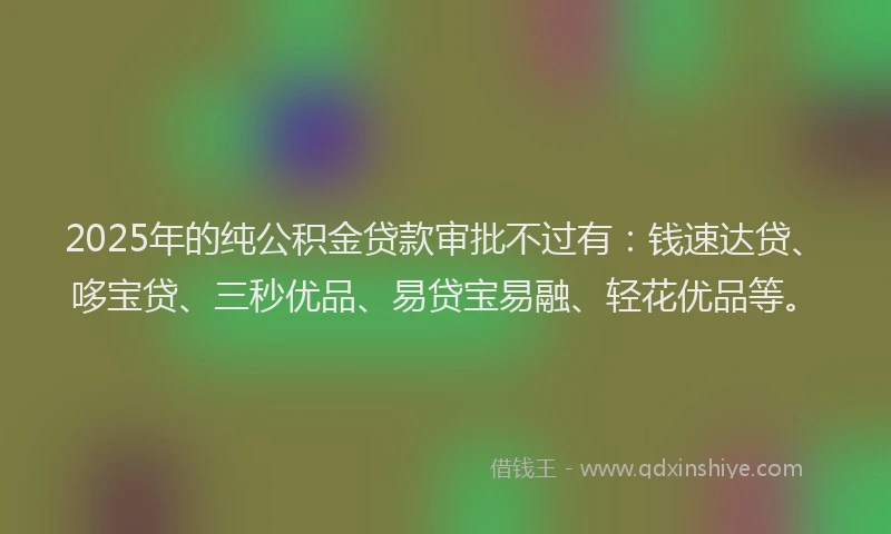 2025年的纯公积金贷款审批不过有：钱速达贷、哆宝贷、三秒优品、易贷宝易融、轻花优品等。
