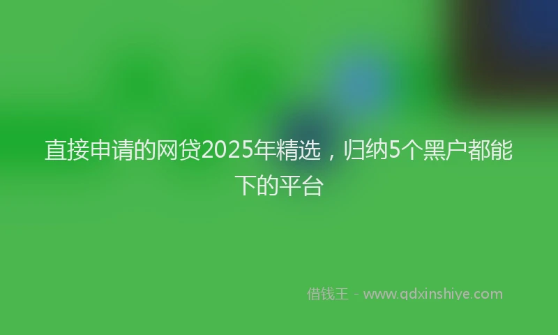 直接申请的网贷2025年精选，归纳5个黑户都能下的平台