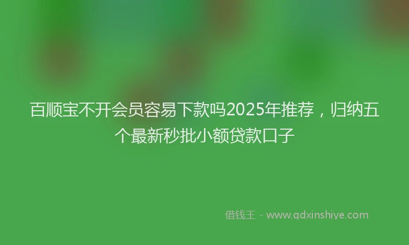 百顺宝不开会员容易下款吗2025年推荐，归纳五个最新秒批小额贷款口子