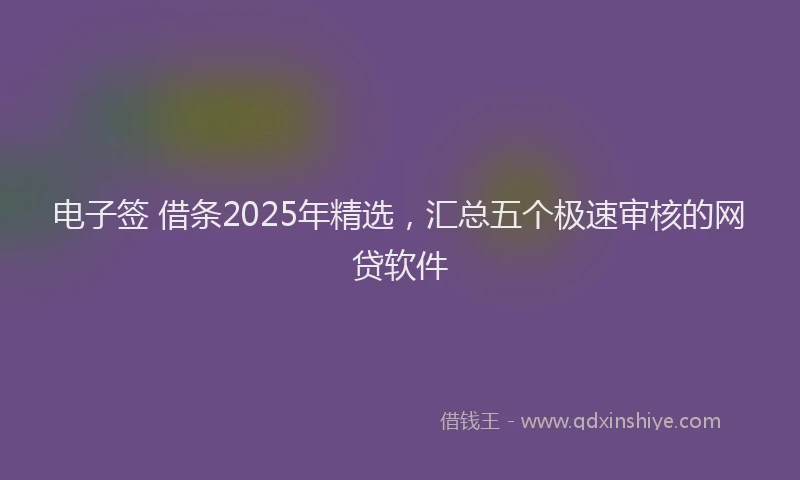 电子签 借条2025年精选，汇总五个极速审核的网贷软件