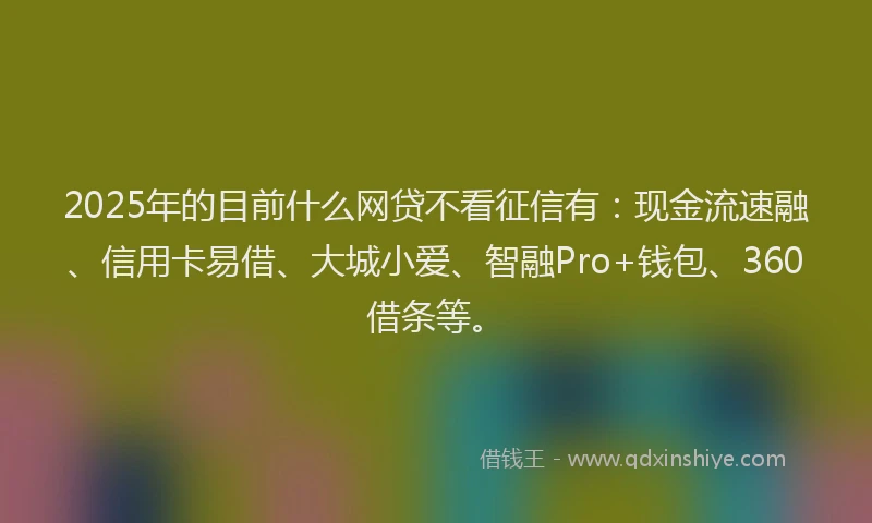 2025年的目前什么网贷不看征信有：现金流速融、信用卡易借、大城小爱、智融Pro+钱包、360借条等。