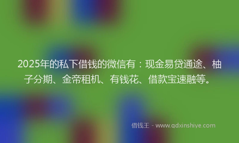 2025年的私下借钱的微信有：现金易贷通途、柚子分期、金帝租机、有钱花、借款宝速融等。