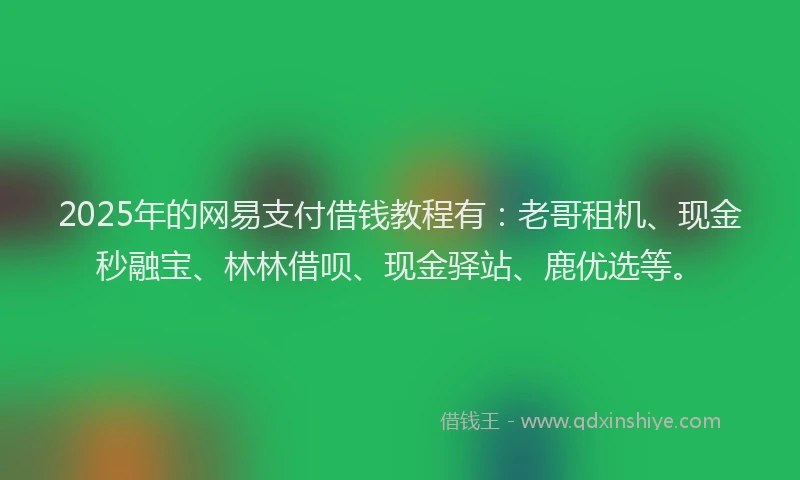2025年的网易支付借钱教程有：老哥租机、现金秒融宝、林林借呗、现金驿站、鹿优选等。