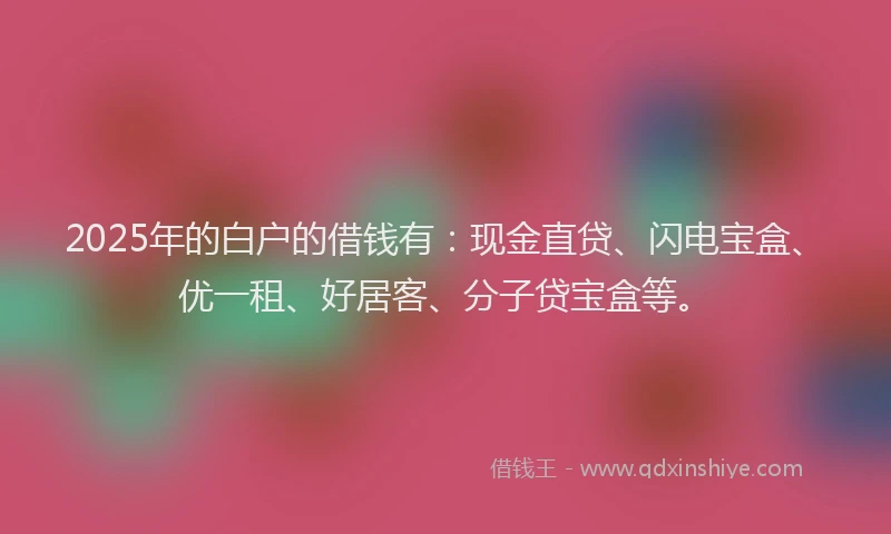 2025年的白户的借钱有：现金直贷、闪电宝盒、优一租、好居客、分子贷宝盒等。