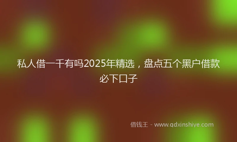 私人借一千有吗2025年精选，盘点五个黑户借款必下口子