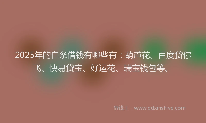 2025年的白条借钱有哪些有：葫芦花、百度贷你飞、快易贷宝、好运花、瑞宝钱包等。