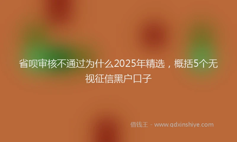 省呗审核不通过为什么2025年精选，概括5个无视征信黑户口子