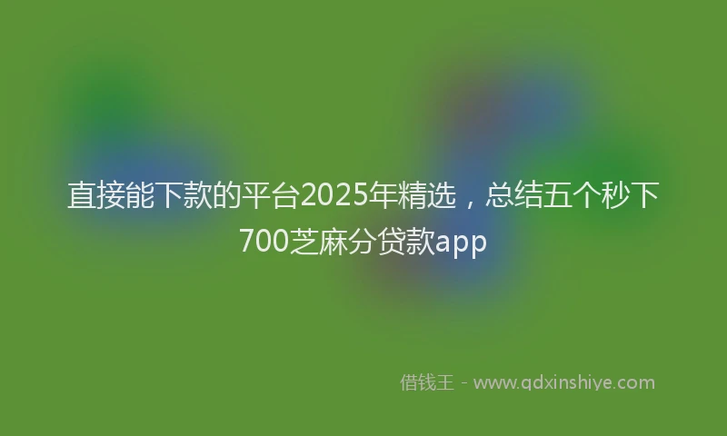 直接能下款的平台2025年精选，总结五个秒下700芝麻分贷款app