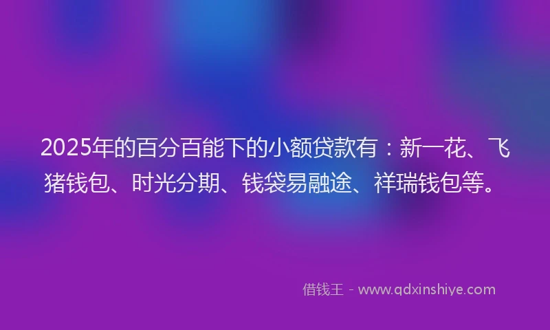2025年的百分百能下的小额贷款有：新一花、飞猪钱包、时光分期、钱袋易融途、祥瑞钱包等。