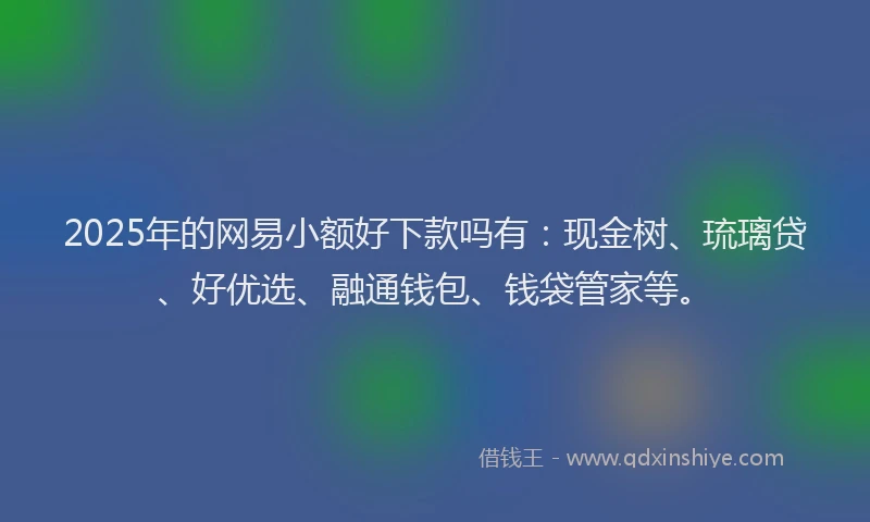 2025年的网易小额好下款吗有：现金树、琉璃贷、好优选、融通钱包、钱袋管家等。