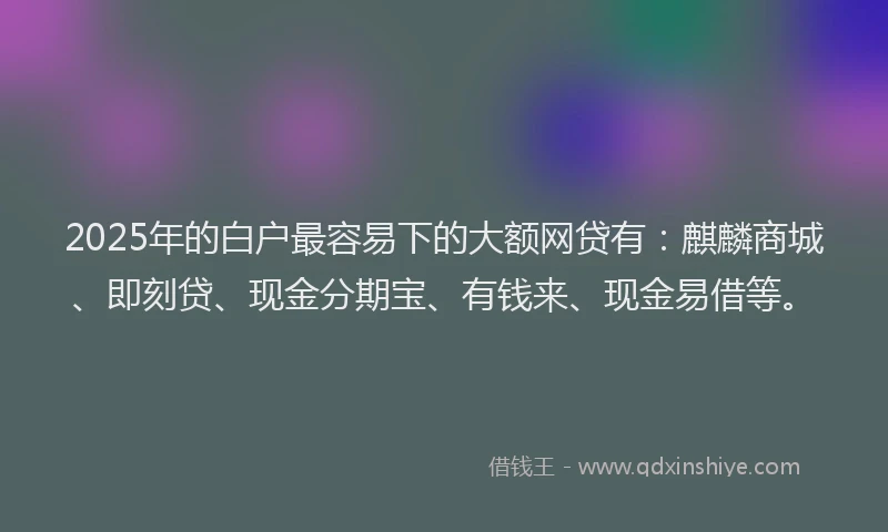 2025年的白户最容易下的大额网贷有：麒麟商城、即刻贷、现金分期宝、有钱来、现金易借等。