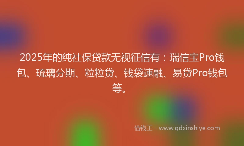 2025年的纯社保贷款无视征信有：瑞信宝Pro钱包、琉璃分期、粒粒贷、钱袋速融、易贷Pro钱包等。